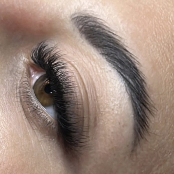 eye brows and eylashes care